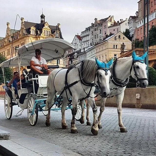 Ferdinandhof Apart-Hotel Karlovy Vary Aparthotel