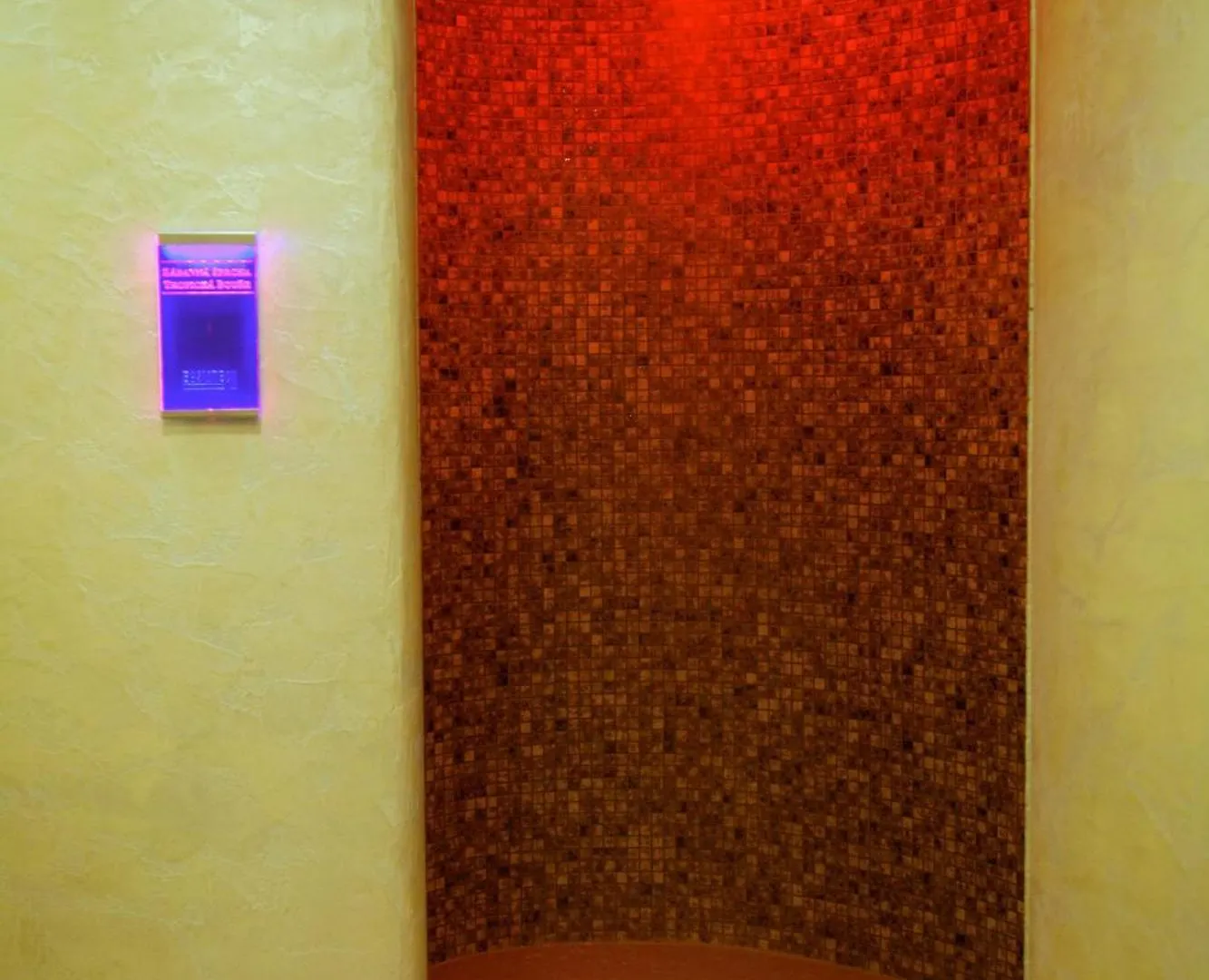Hotel Ambiente Wellness & Spa Карловы Вары