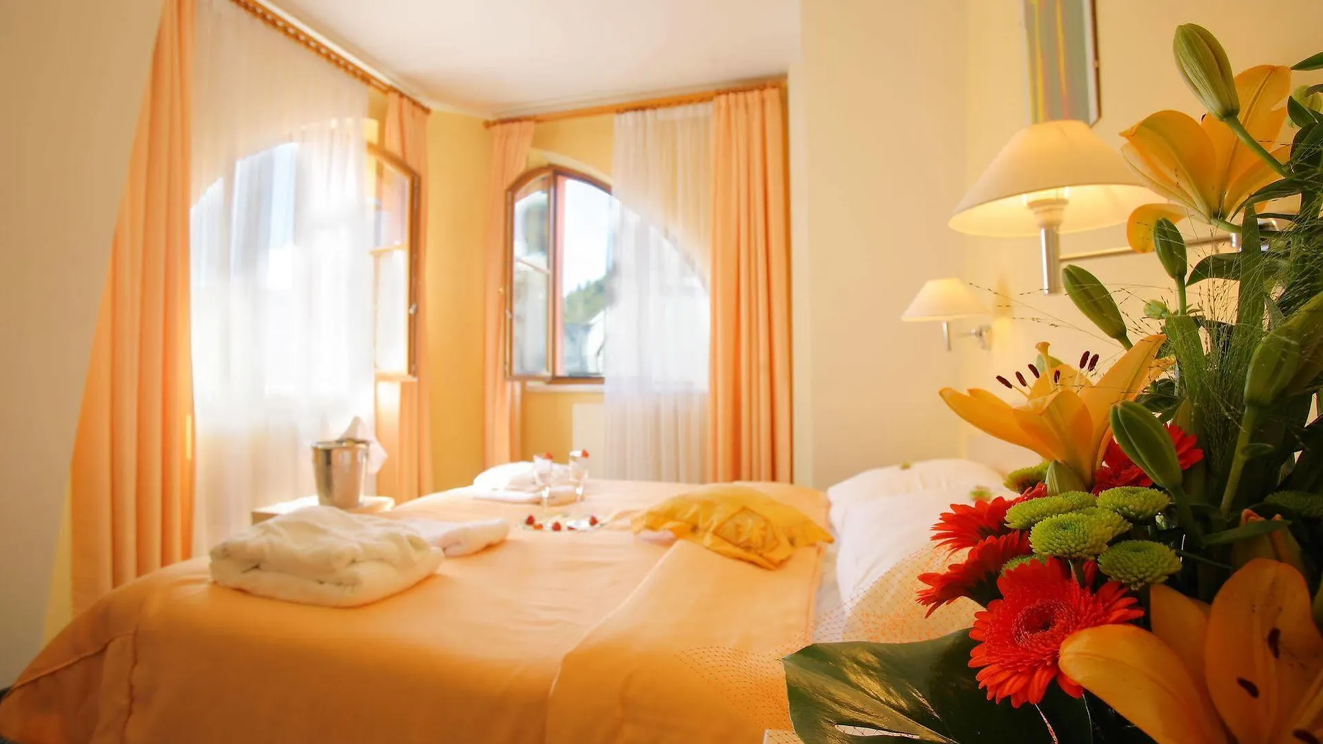 Hotel Ambiente Wellness & Spa Карловы Вары