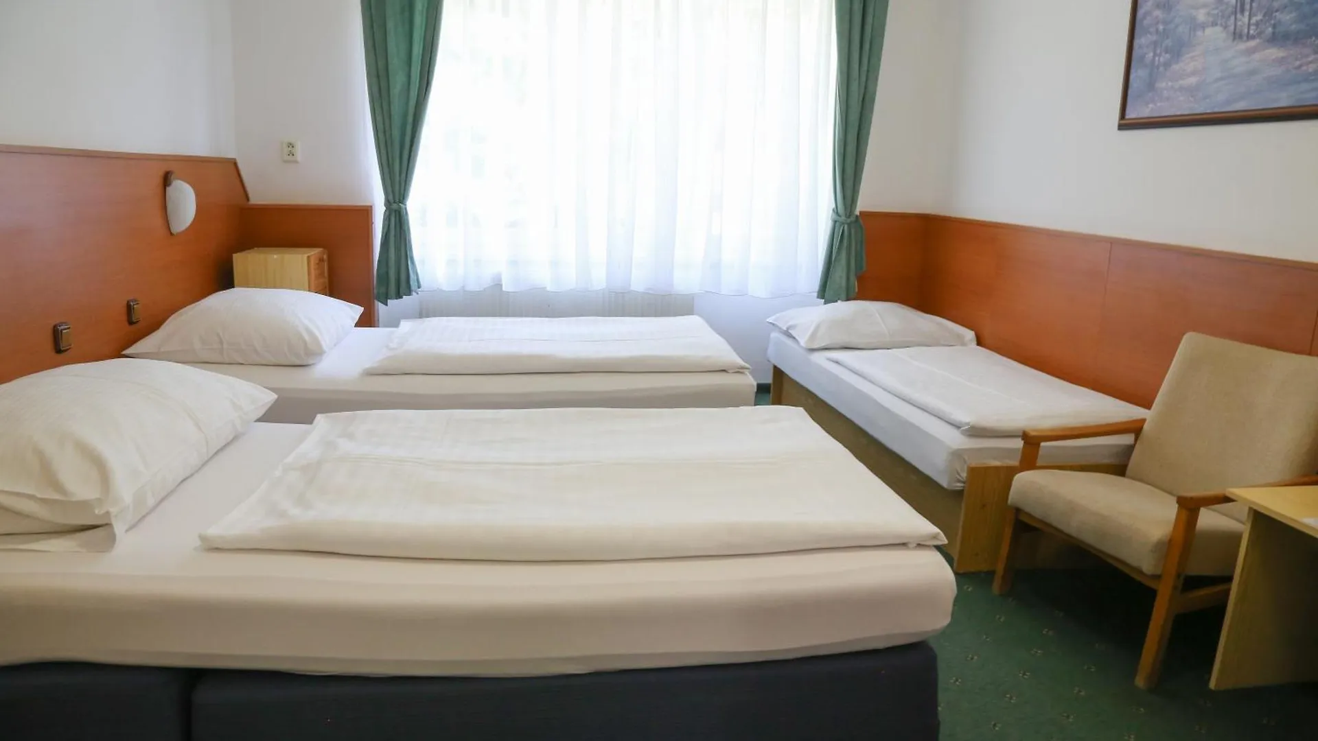 Sport Hotel Gejzirpark Karlovy Vary