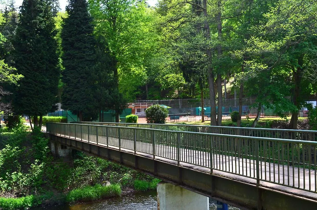 Sport Hotel Gejzirpark Karlsbad 2*,