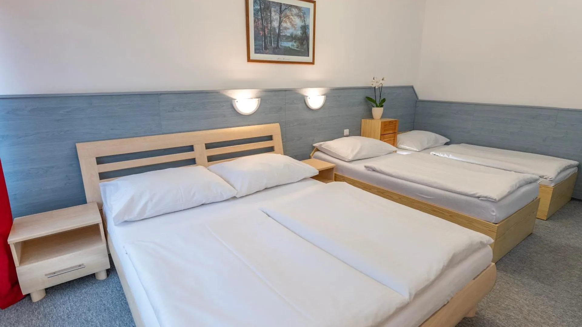 Sport Hotel Gejzirpark Karlsbad