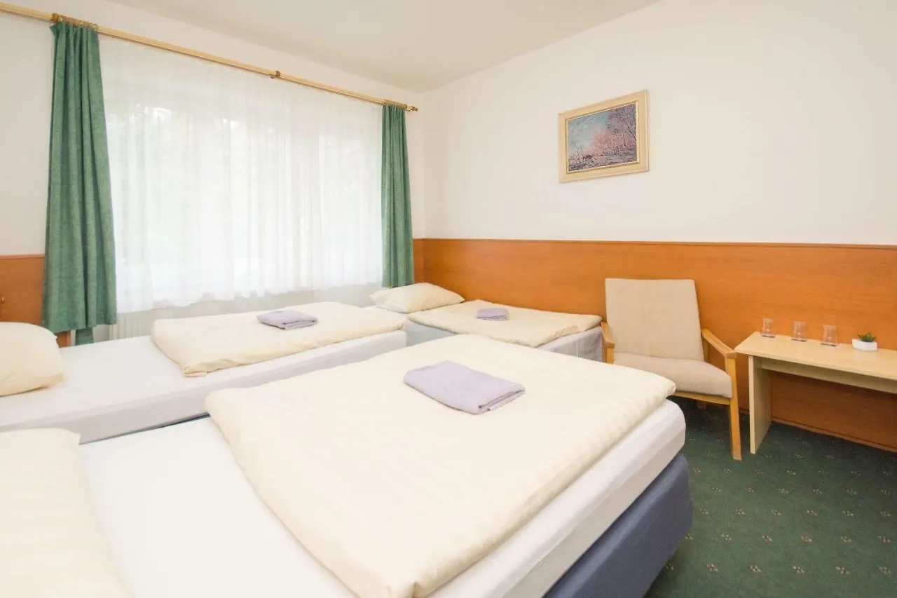 Sport Hotel Gejzirpark Карловы Вары 2*,  Чехия