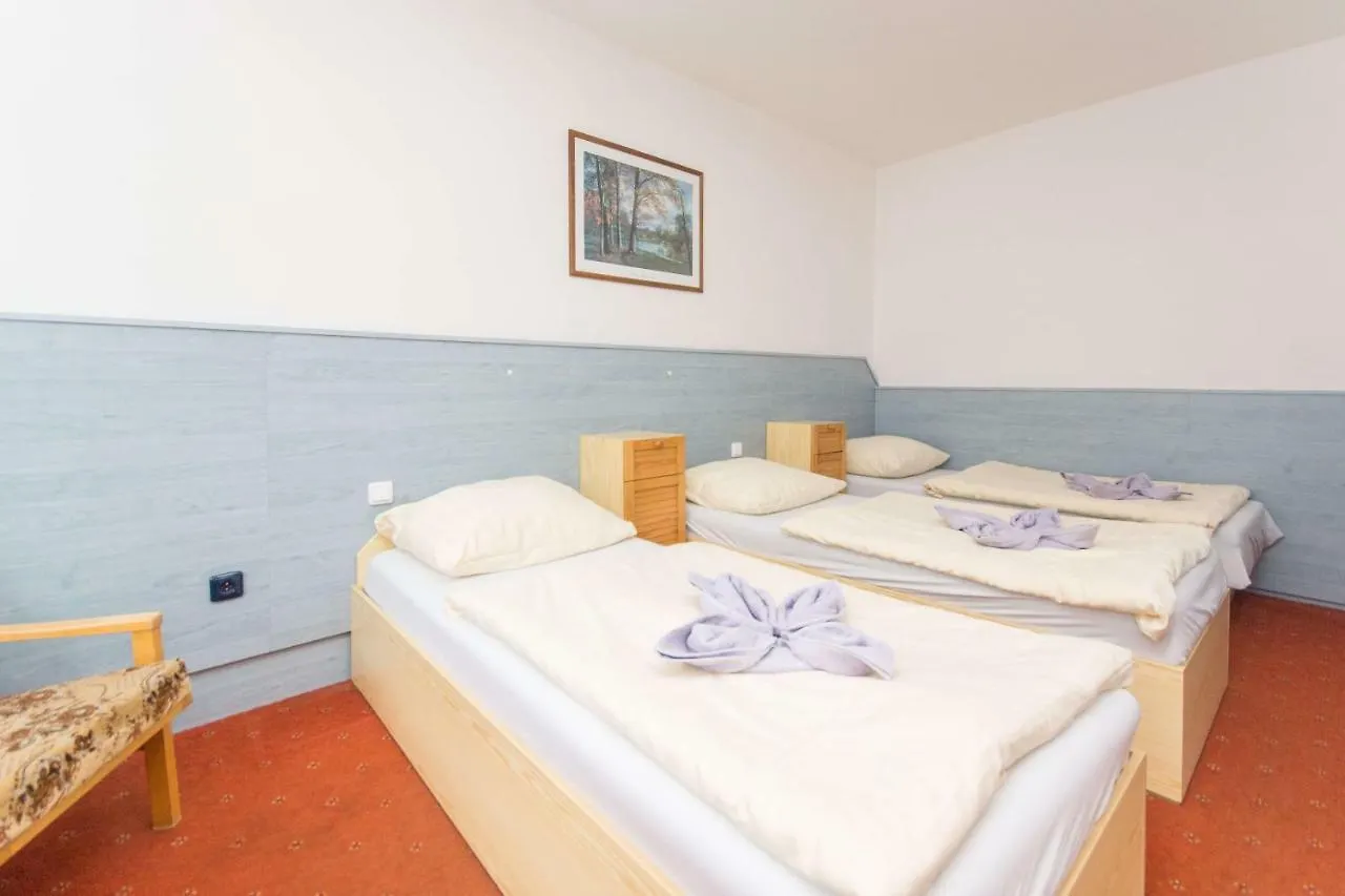 Sport Hotel Gejzirpark Карловы Вары