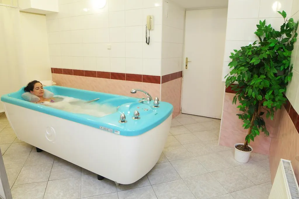 Hotel Pavlov Karlsbad 4*,