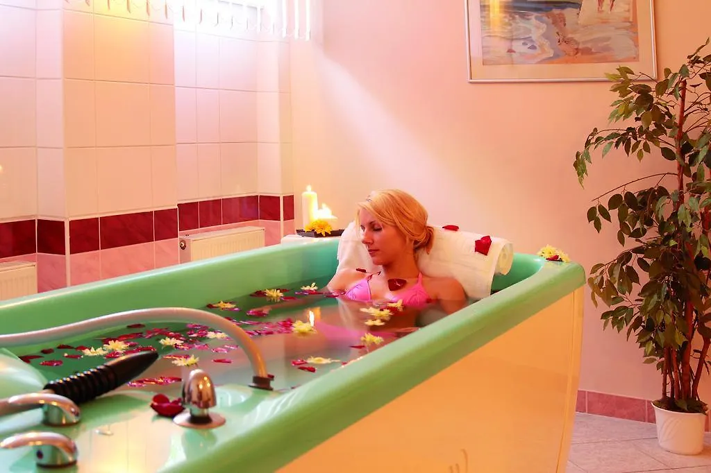 Hotel Pavlov Карловы Вары