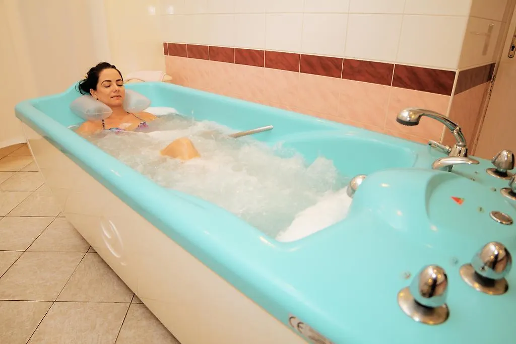 Hotel Pavlov Карловы Вары