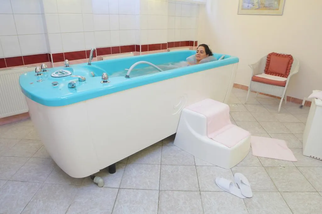 Hotel Pavlov Карловы Вары