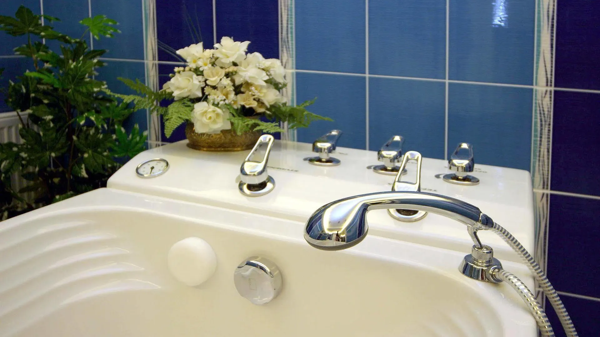 ****  Hotel Ruze Karlovy Vary Czech Republic