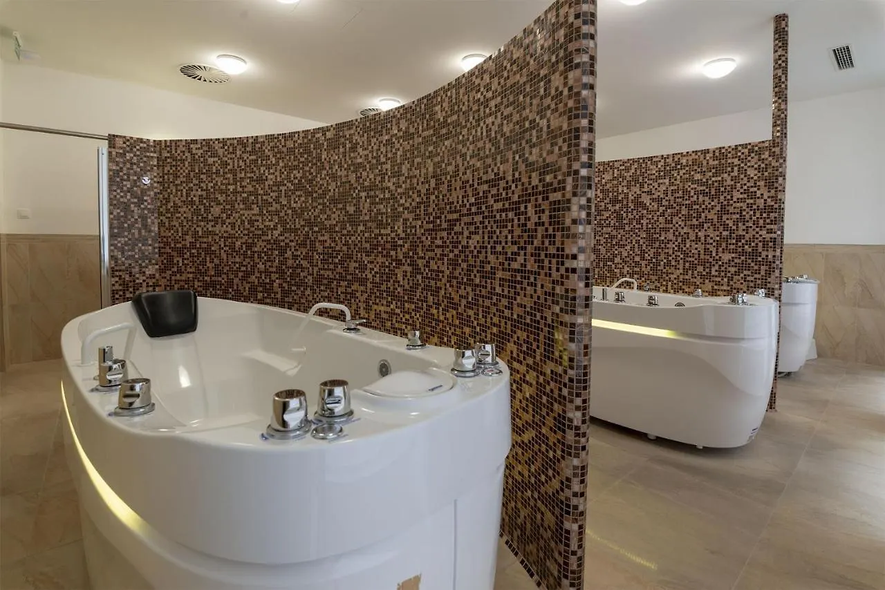 Hotel Ulrika Karlovy Vary
