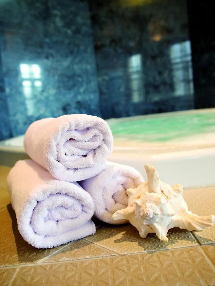 Wellness Hotel Jean De Carro Karlovy Vary 4*,