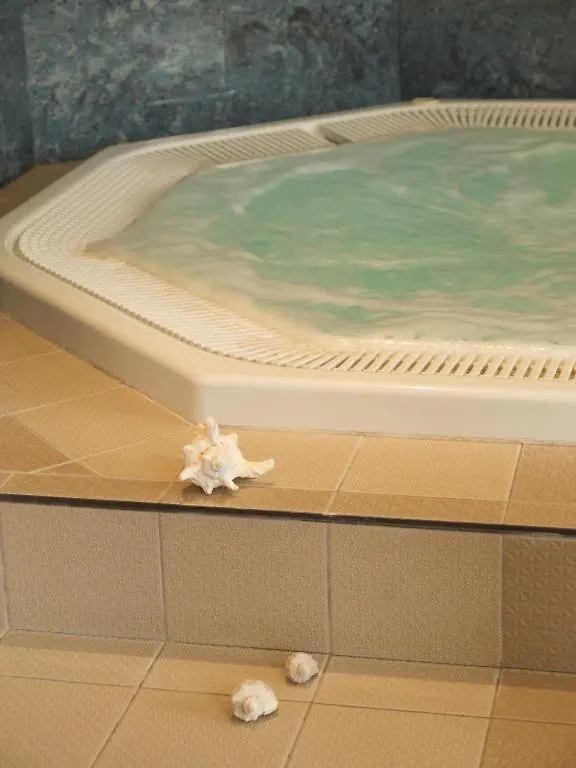 Wellness Hotel Jean De Carro Karlsbad