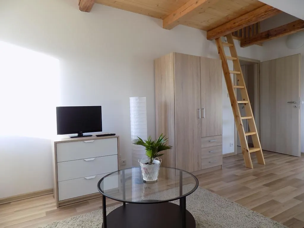 Karlsbad Apartments Карловы Вары