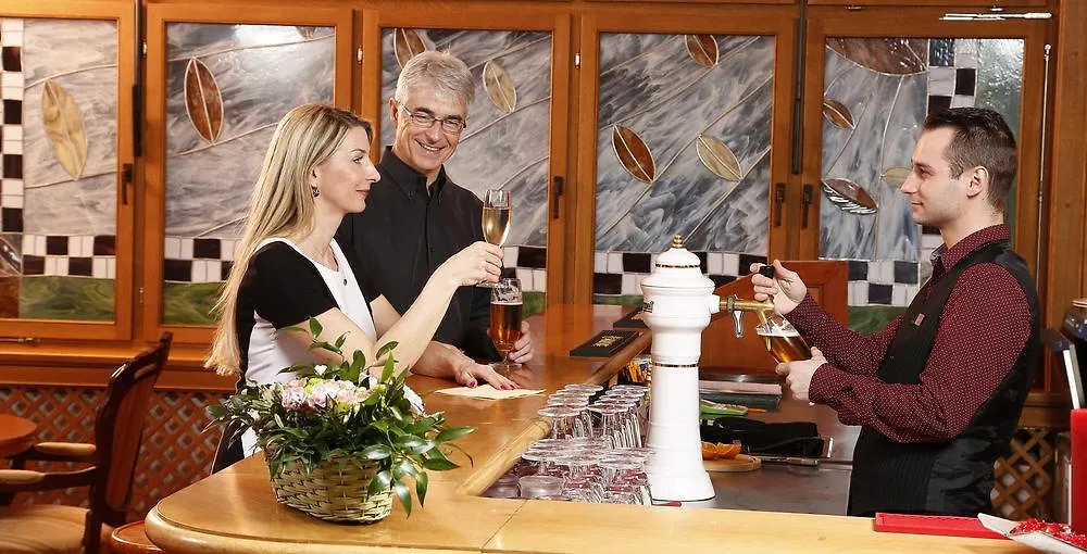 Spa Hotel Villa Smetana Karlsbad