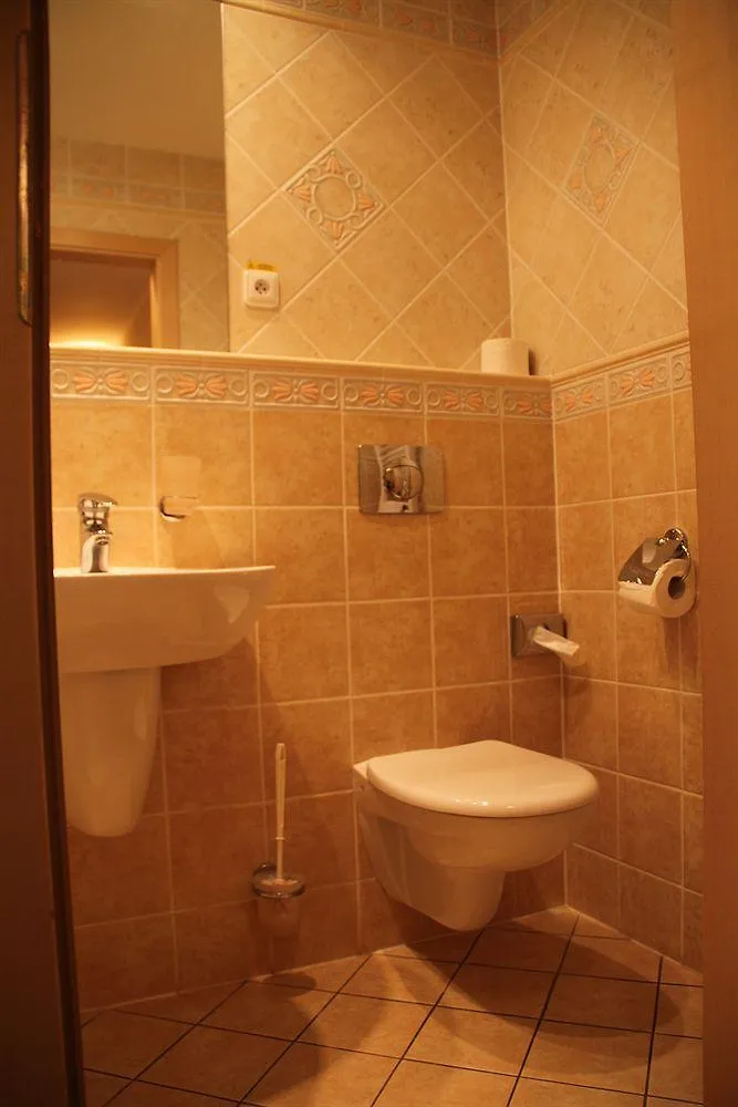 Hotel Maltezsky Kriz Karlovy Vary 3*,