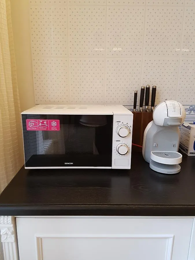 Retro Big Apartment With Two Balconies And Lift Karlsbad