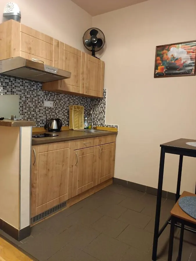 Pensjonat Hotel Msprivat Karlowe Wary
