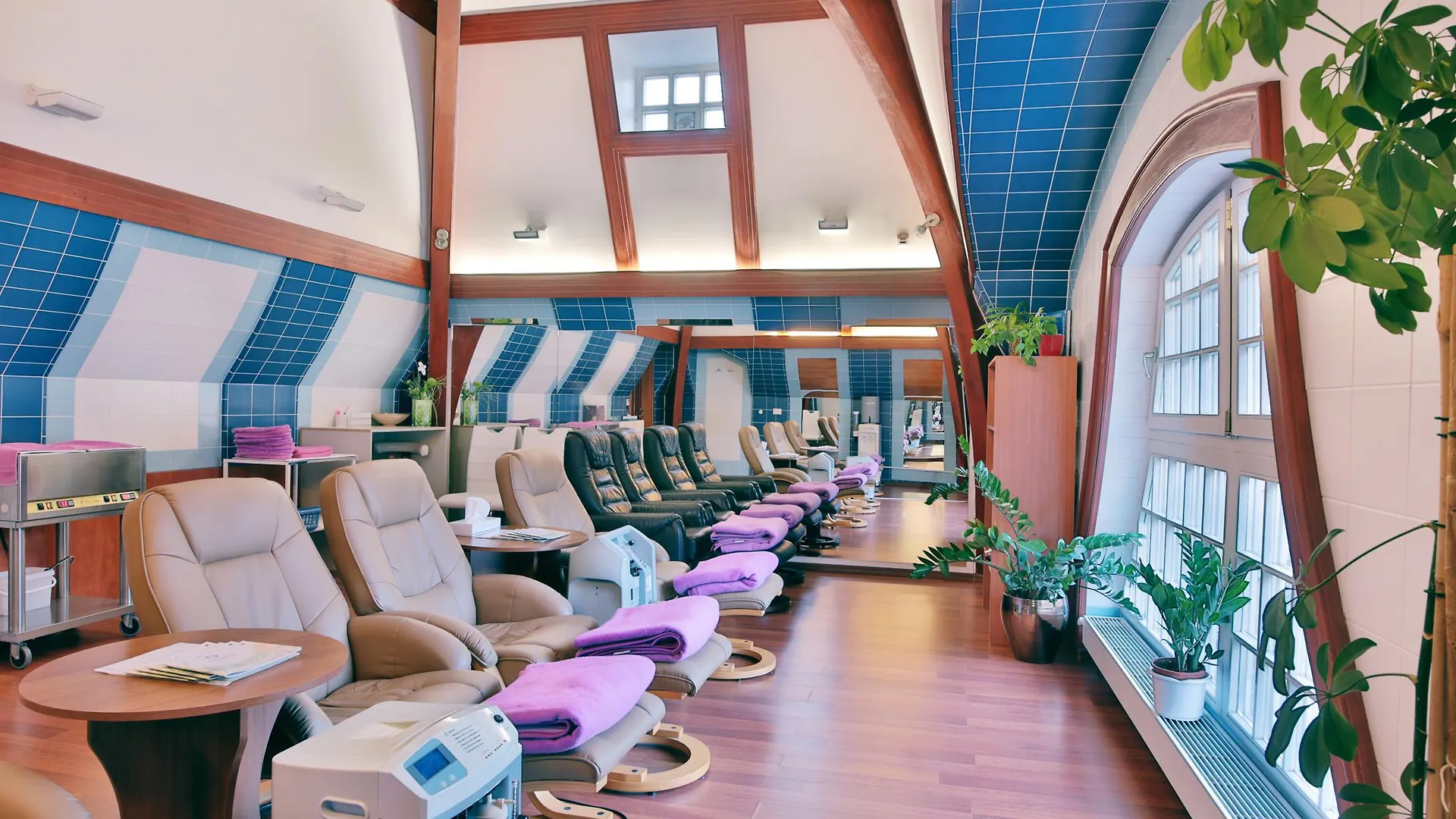 Olympia Wellness Hotel Карловы Вары