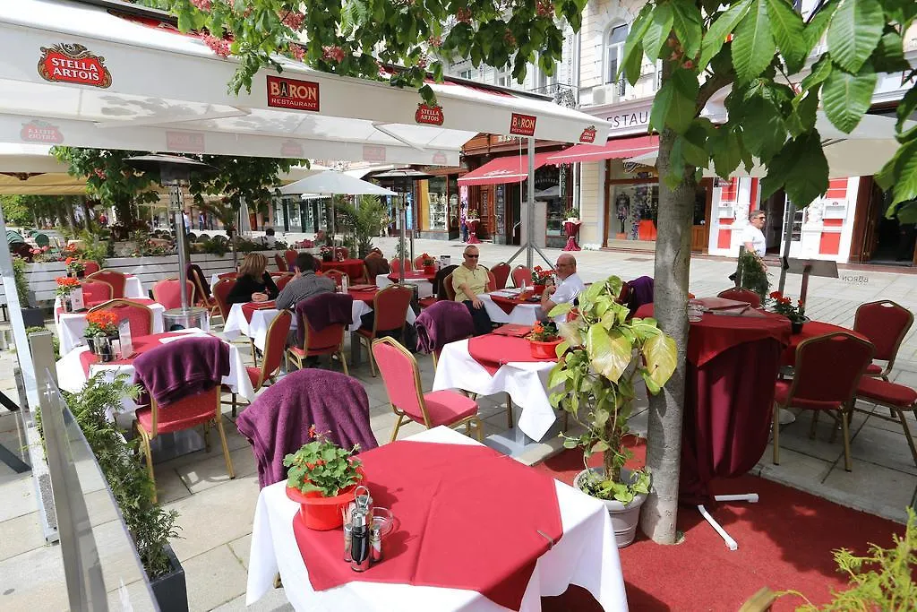 Hotel Palacky Karlovy Vary Czech Republic