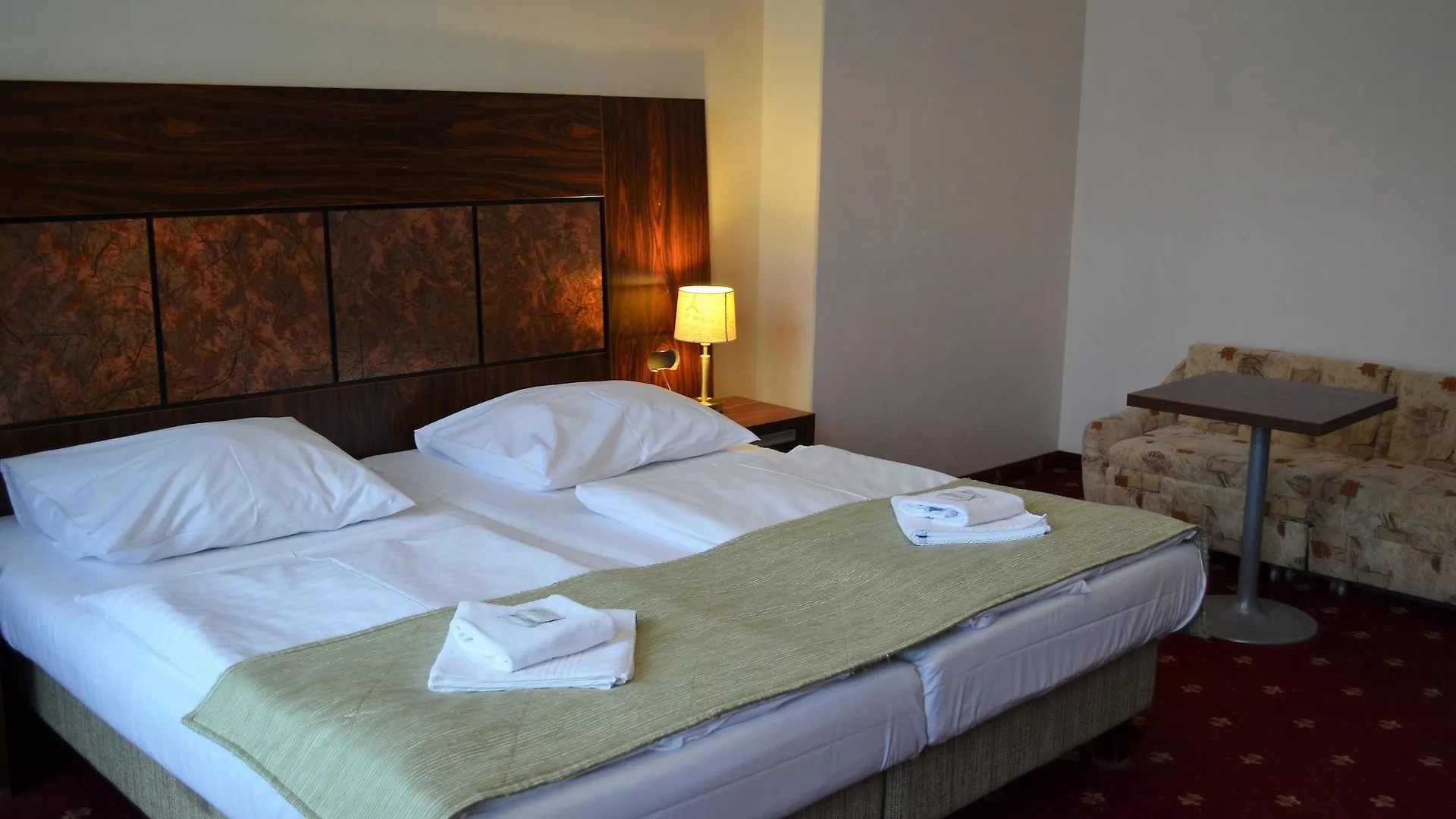 Hotel Palacky Карловы Вары 4*,