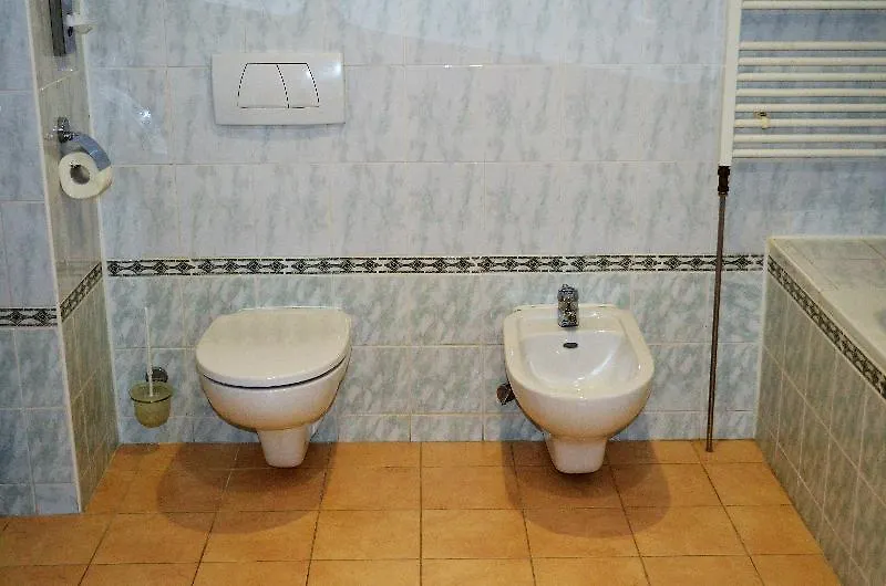 Hotel Palacky Карловы Вары Чехия