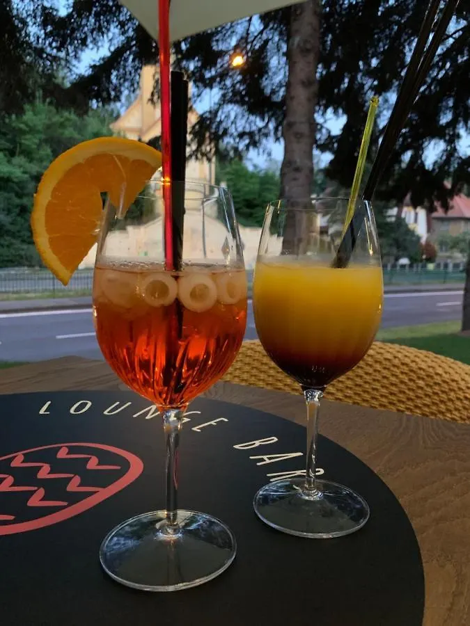 Parkhotel Carlsbad Inn Karlowe Wary Czechy
