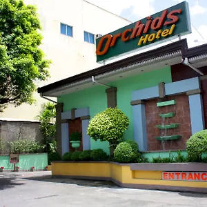 Orchids Manila