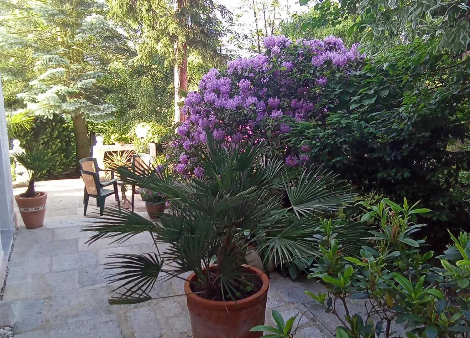 Hotel Pension Baron Schoeneck Karlsbad Gasthof