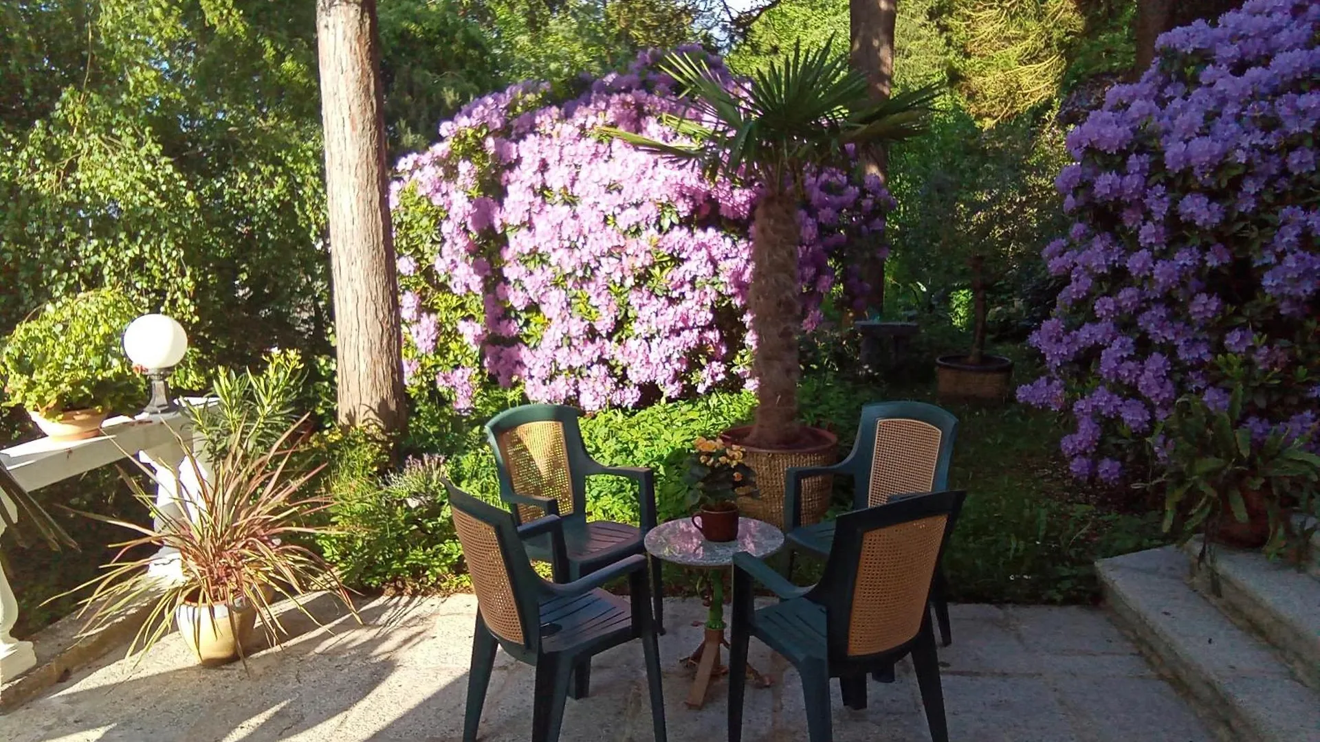 Pension Baron Schoeneck Hotel Karlovy Vary