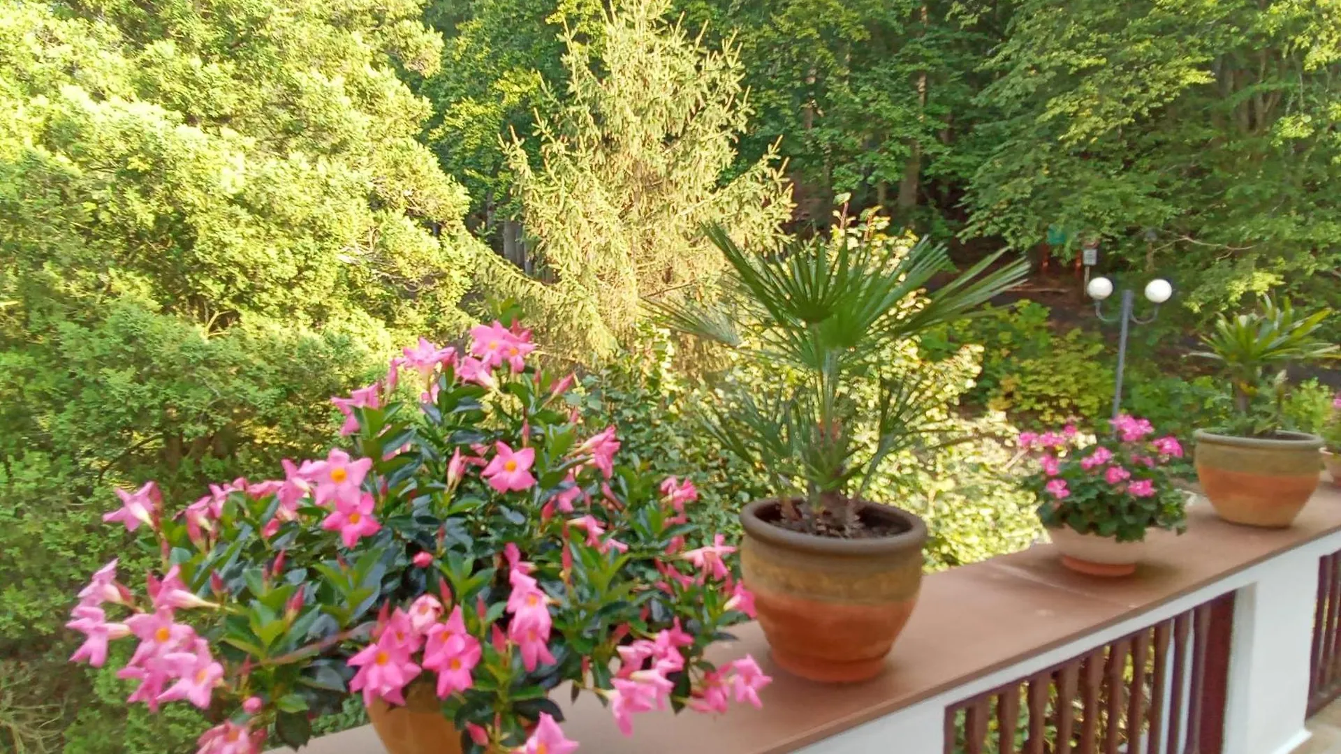 Pension Baron Schoeneck Hotel Karlovy Vary