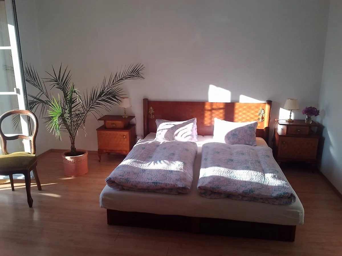 Hotel Pension Baron Schoeneck Karlsbad 0*,