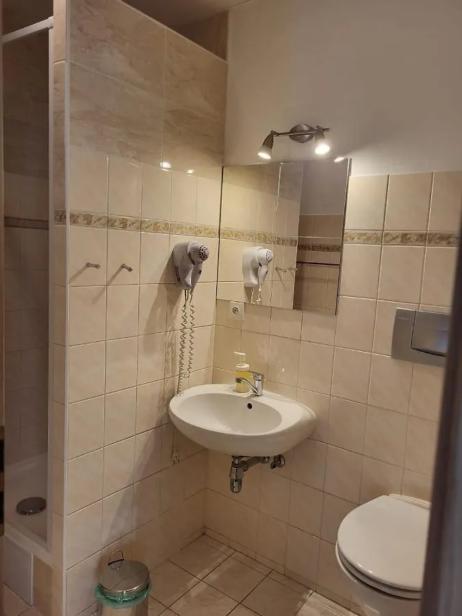 Guest house Pension Family Karlovy Vary