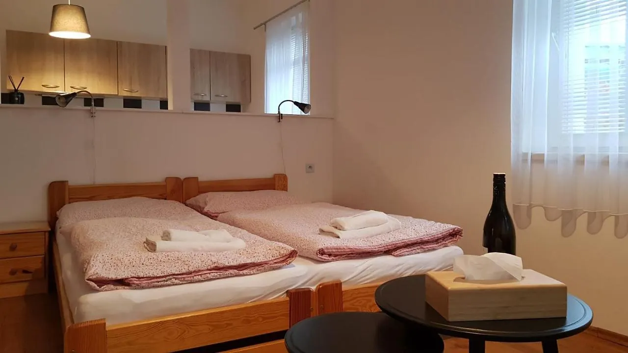 Pensjonat Pension Family Karlowe Wary Czechy