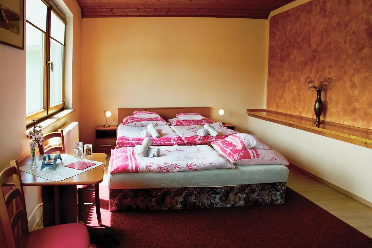 Pension Lukas Karlsbad 3*,