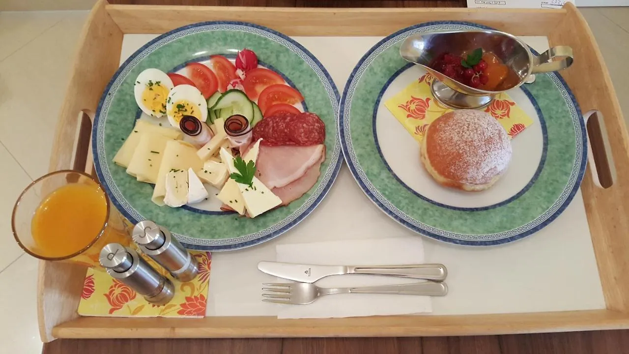 Apartment Pension Napoleon Karlsbad