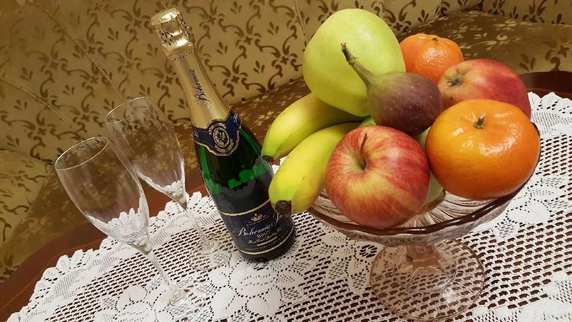Pension Napoleon Apartment Karlovy Vary