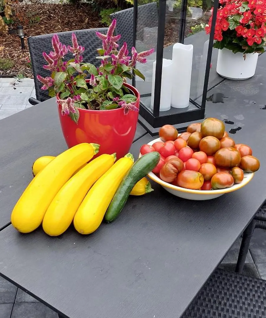 Pension Rainbow*** Karlsbad Gasthof
