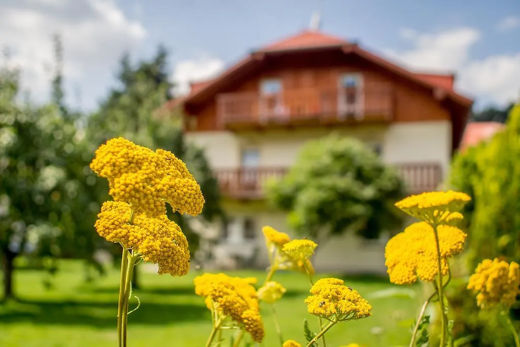 Gasthof Pension Rieger Radošov Tschechische Republik