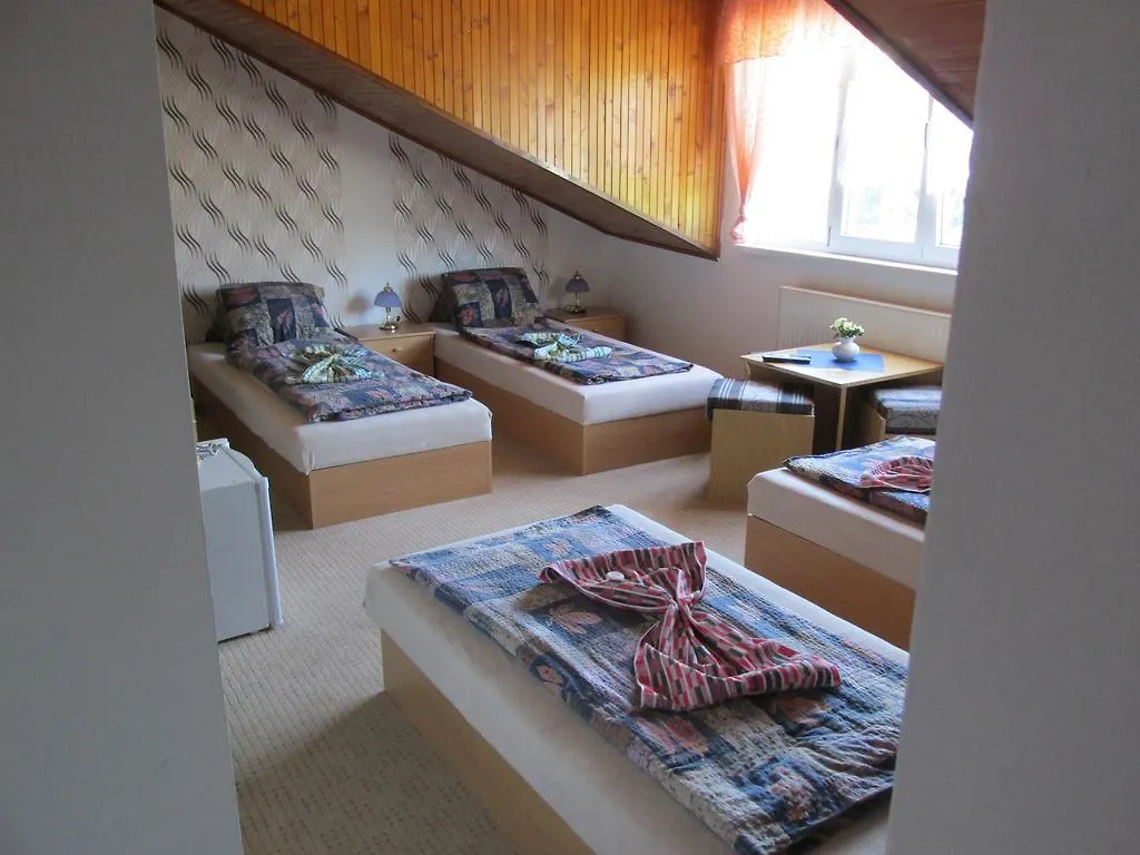 Pension U Vlasku Karlowe Wary 3*,  Czechy