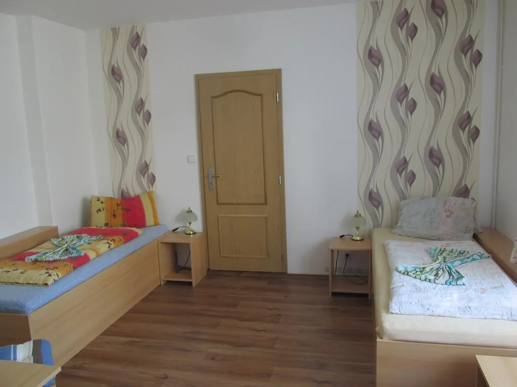 Pension U Vlasku Karlowe Wary 3*,