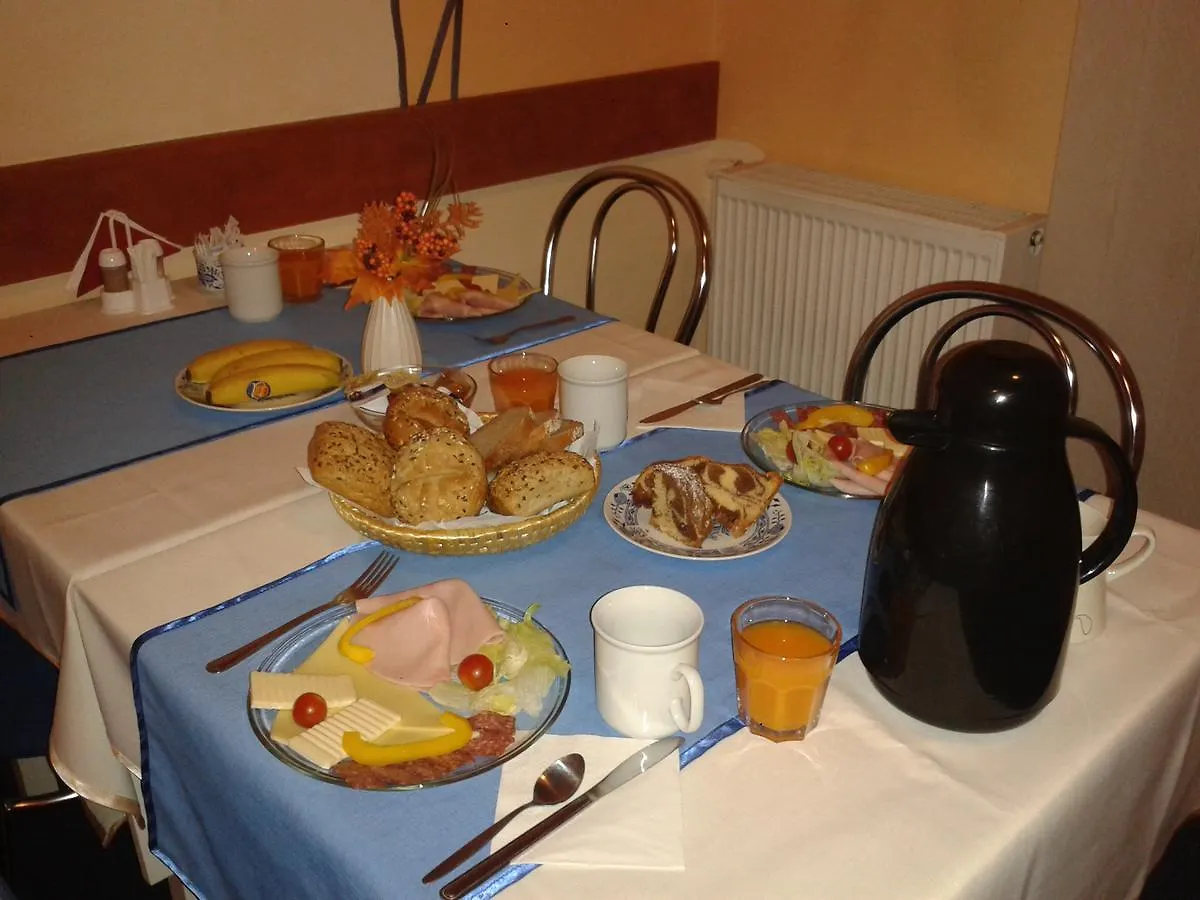 *** Pensjonat Hotel Penzion Fan Karlowe Wary Czechy