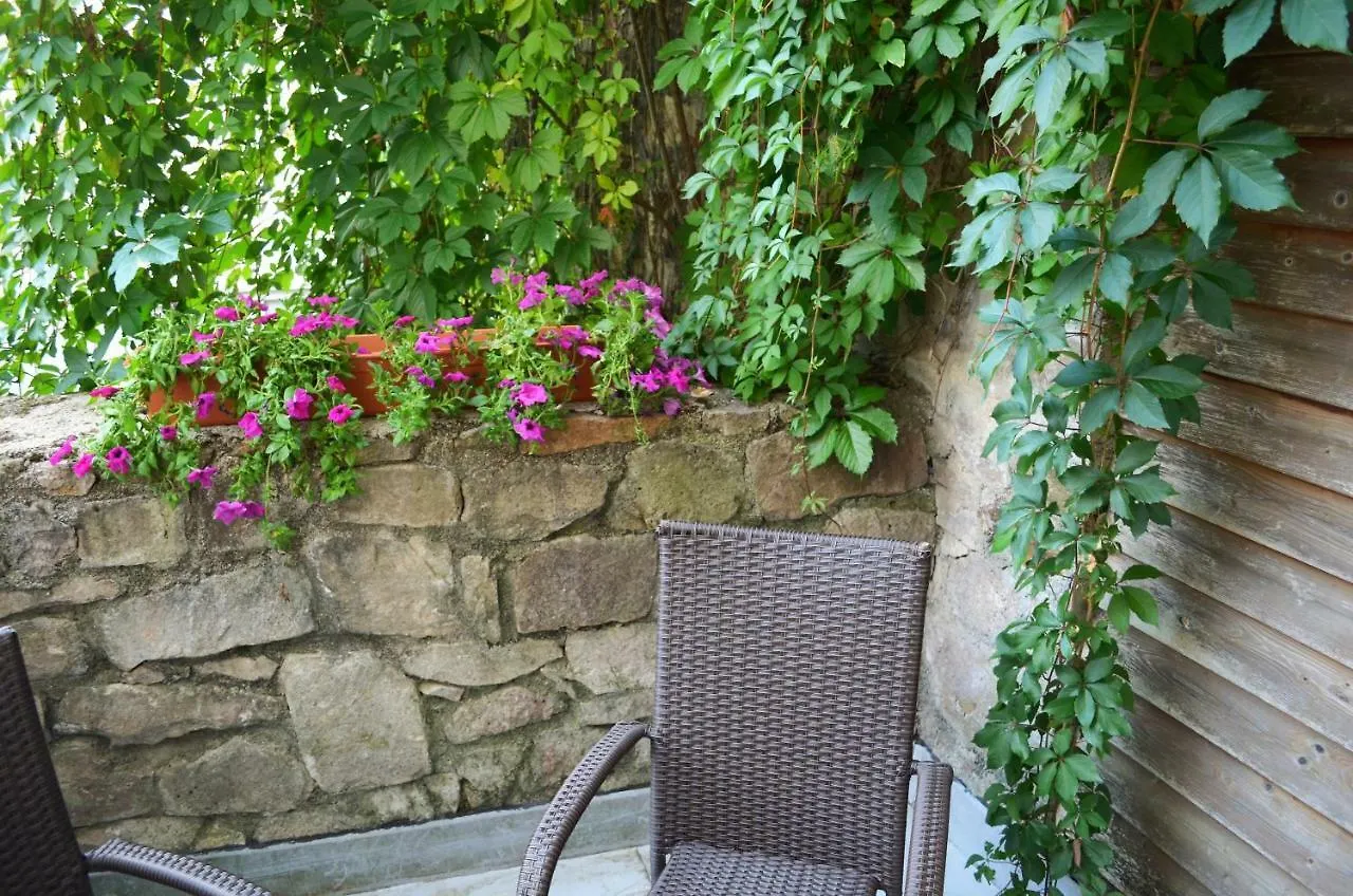 Hotel Petr Karlovy Vary 4*,
