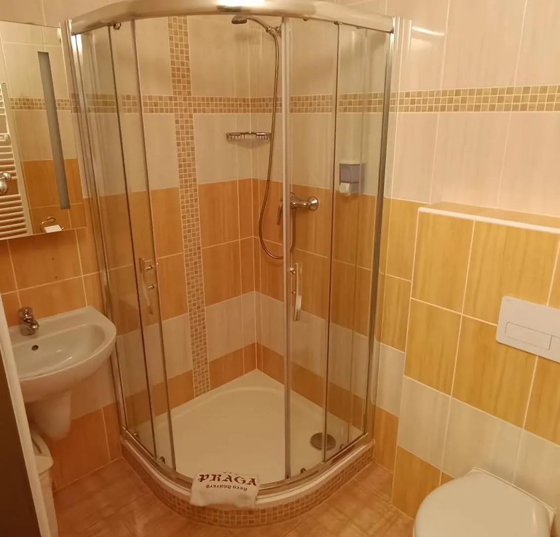Hotel Praga Karlovy Vary