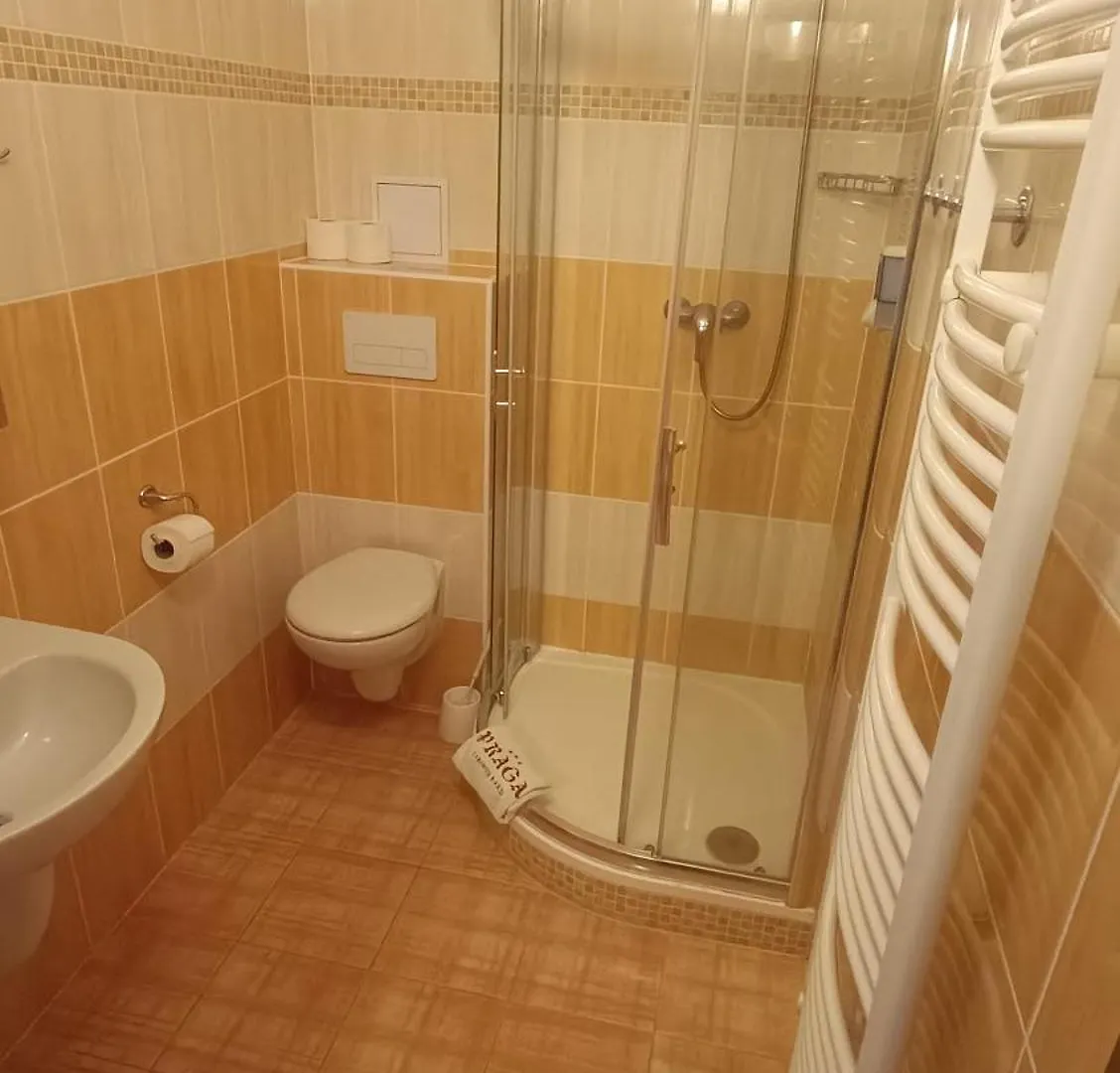 Hotel Praga Karlovy Vary