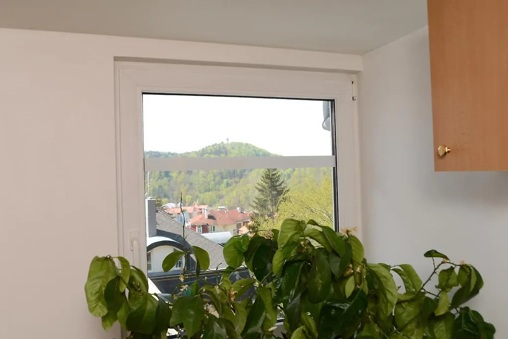 Ferienwohnung Privat Tri Krize Karlsbad