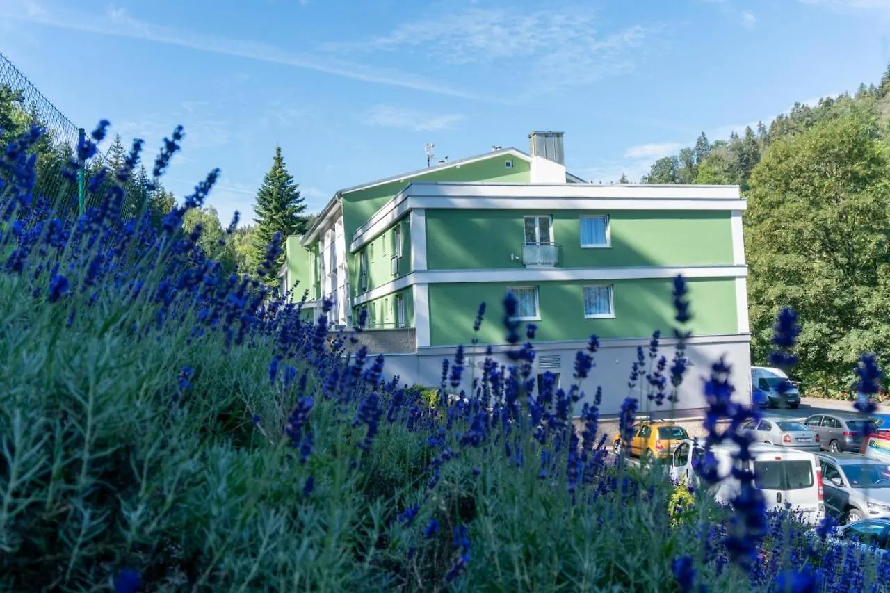 Wellness Hotel Green Paradise Brezova  4*, Brezova (Karlovy Vary) Czech Republic