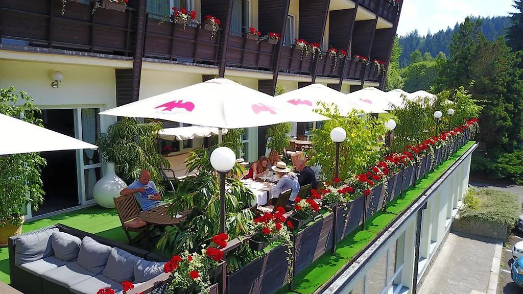 Wellness Hotel Green Paradise Brezova  Czech Republic