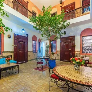book here
