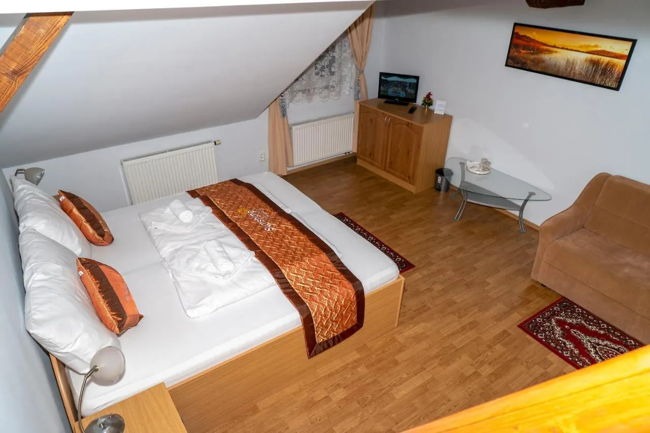 Sunshine Pension Karlovy Vary Affittacamere