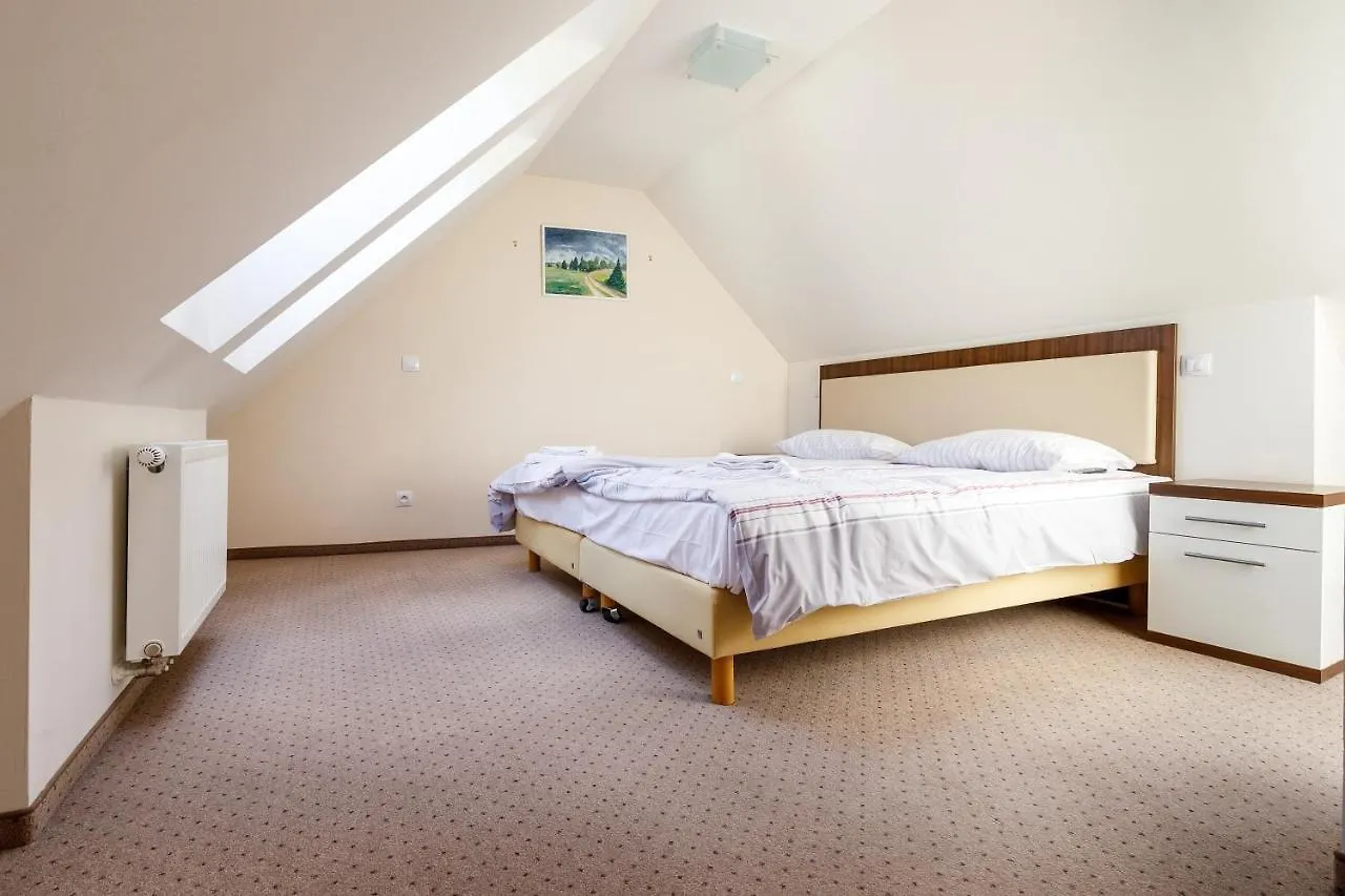 Apartmany U Divadla Karlsbad
